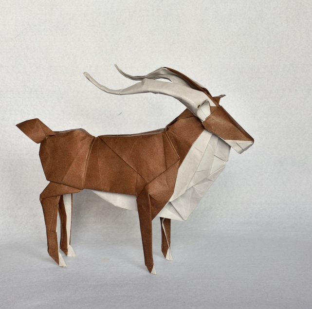 Antelope