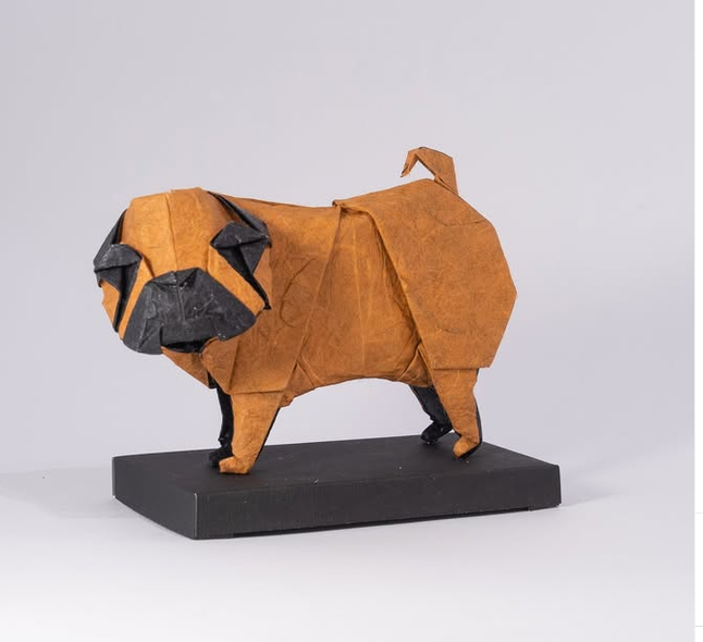 Pug