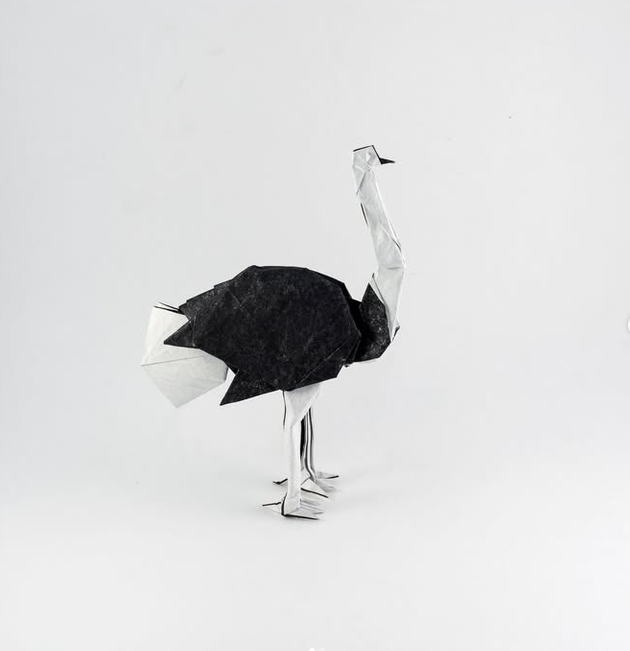 Ostrich