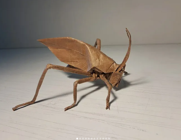 Katydid