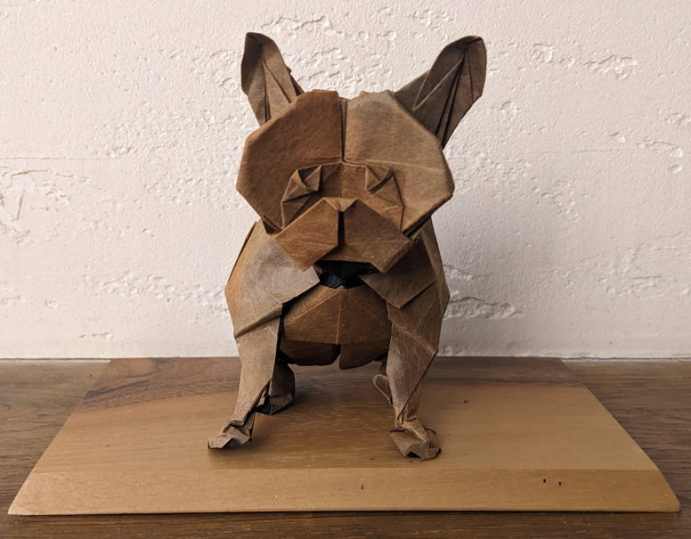 French Bulldog