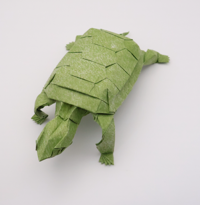 Turtle 2.0