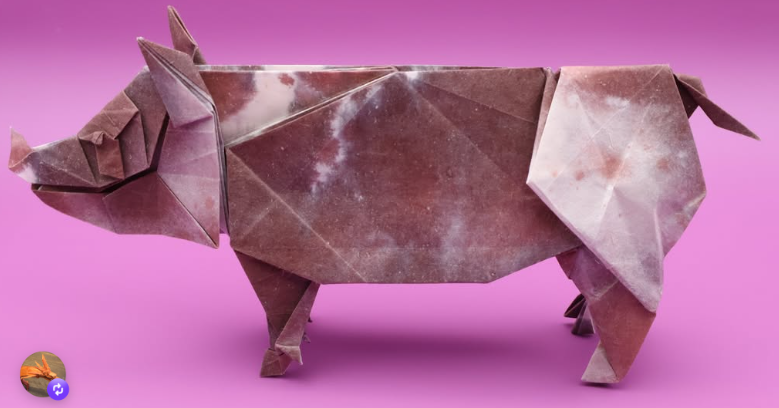 Pig
