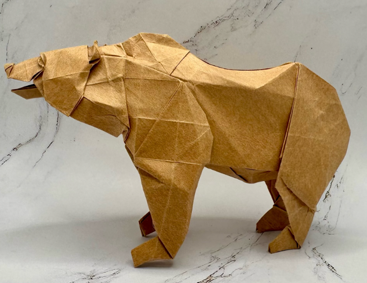 Grizzly Bear