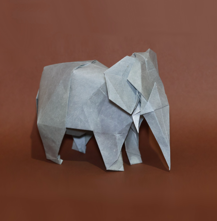 African Elephant