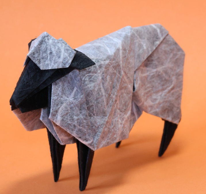 Sheep
