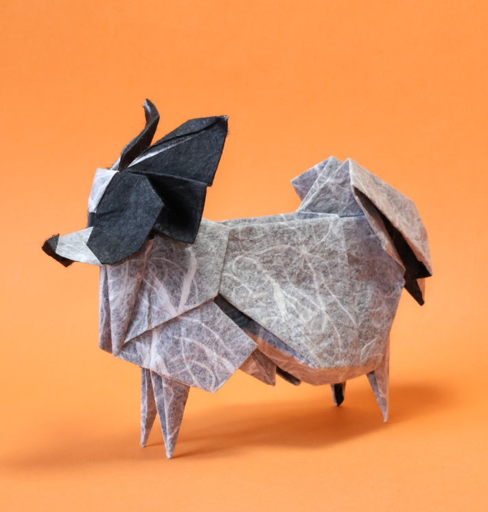 Papillon