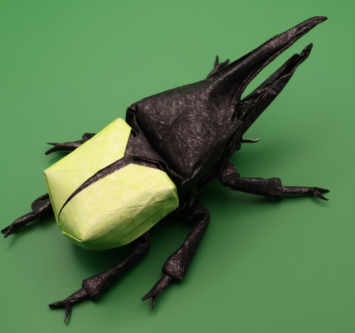 Hercules Beetle