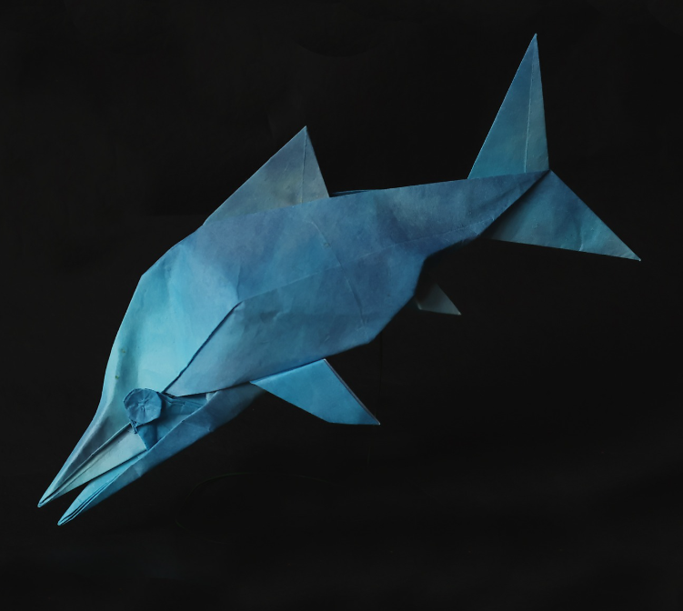 Ichthyosaur