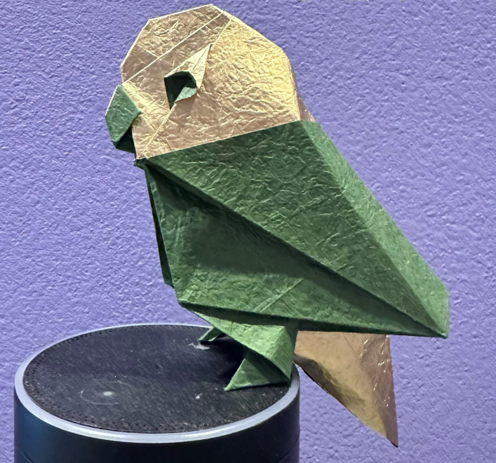 Parrot