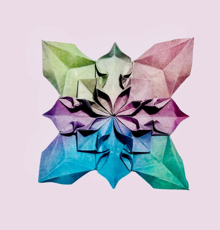 Hydrangea