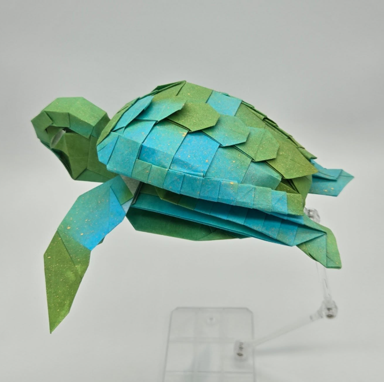 Magnificent Green Turtle