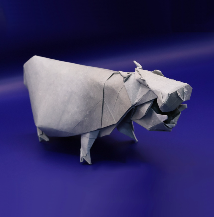 Pigmy Hippopotamus