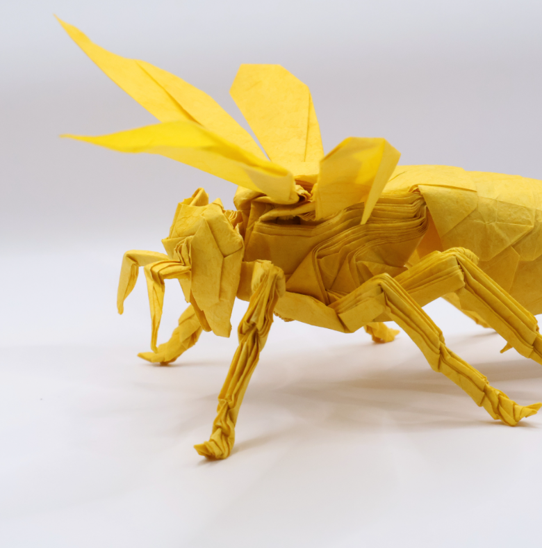 Vespid