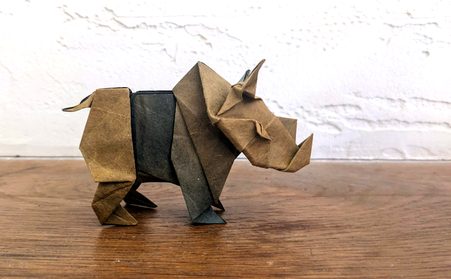 Rhinoceros