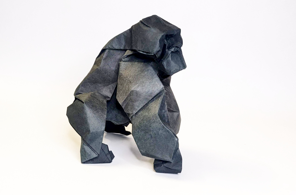 Gorilla
