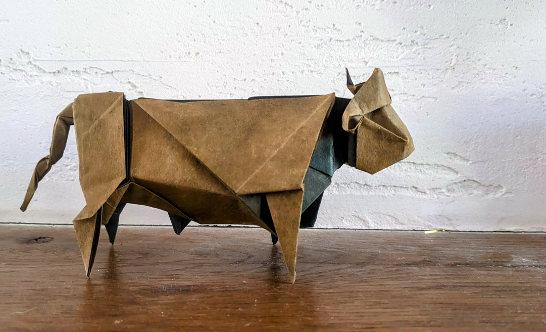 Wagyu bull