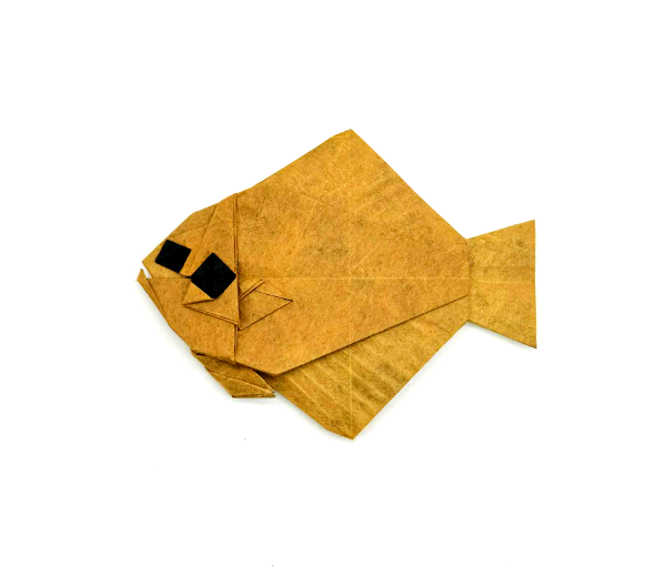 Flatfish