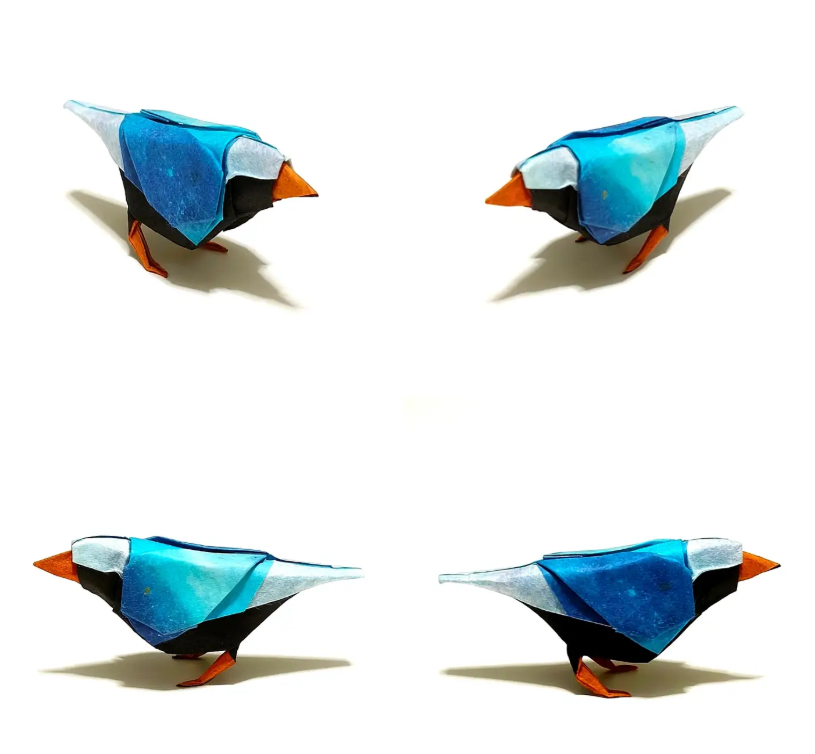 Java Sparrow