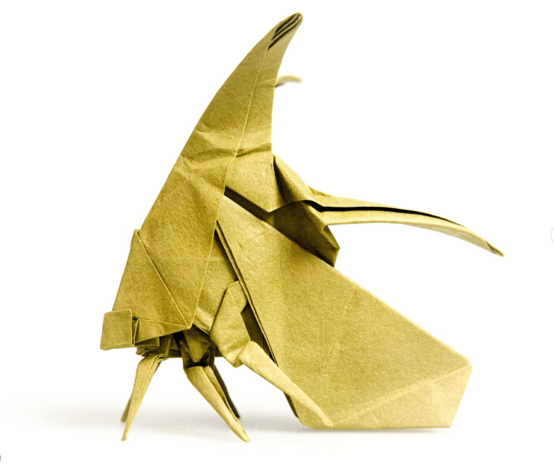 Treehopper
