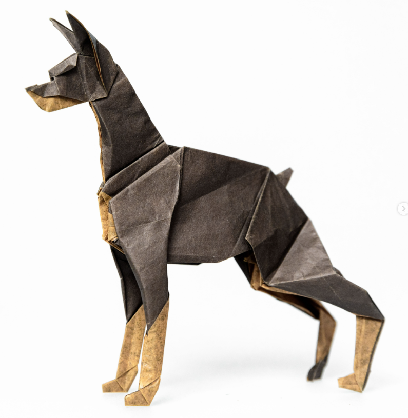 Doberman