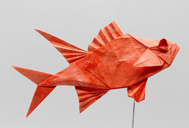Longspine Squirrel Fish