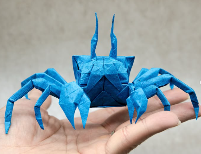 Ghost crab