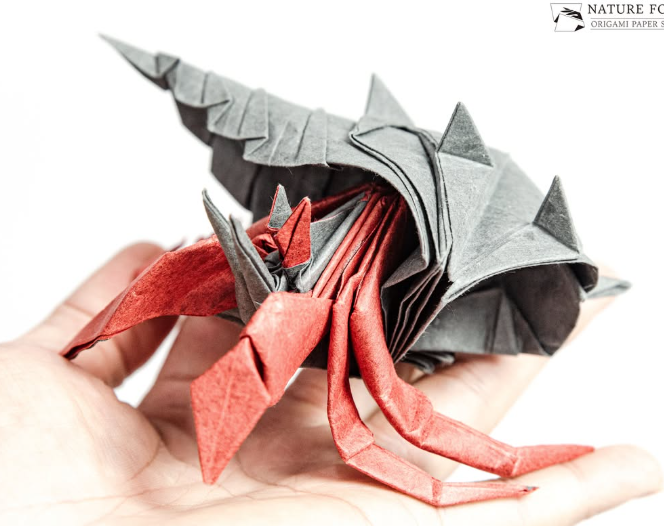 Hermit Crab