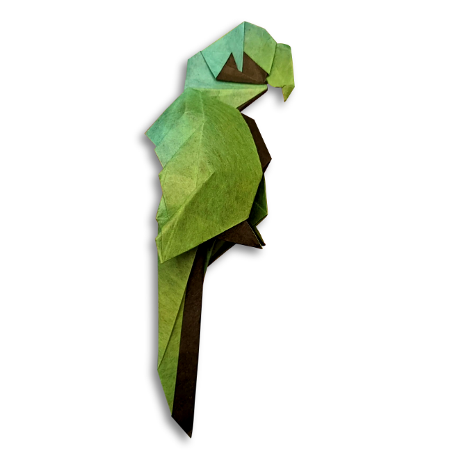 Parrot