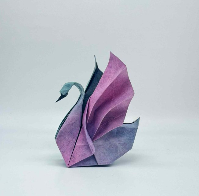 Swan