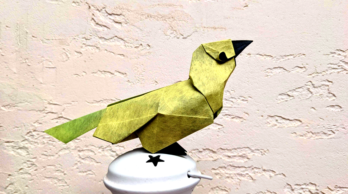Java Sparrow