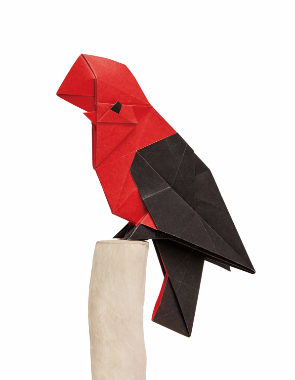 Origami Cock-of-the-rock designed by Syn / Jiahui Li, folded by Syn / Jiahui Li, using DUO-COLOR Extra Large paper (DUO Black / Red)