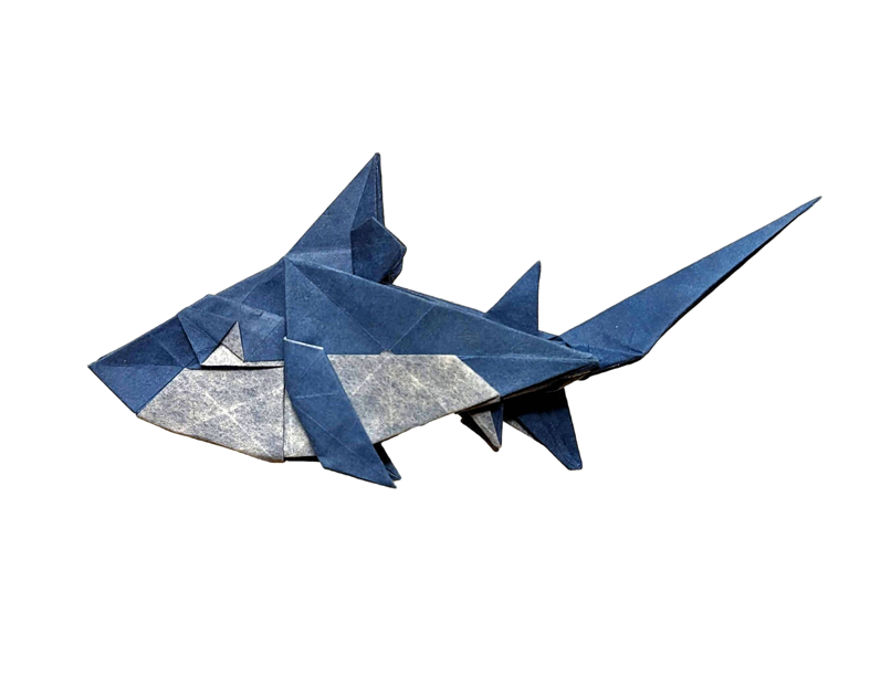 Origami Shark designed by Syn / Jiahui Li, folded by TERRY Nicolas, using Luminous Thai paper (#04 WHITE / BLUE JEAN)