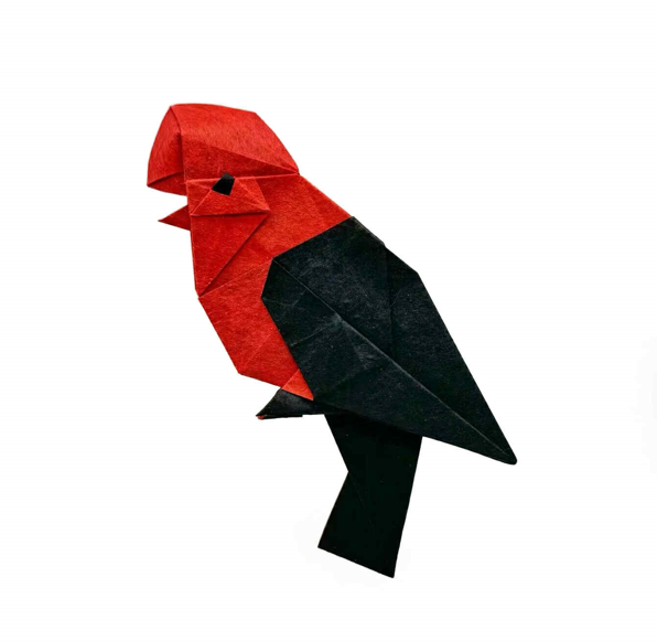 Origami Cock-of-the-rock designed by Syn / Jiahui Li, folded by TERRY Nicolas, using Shadow Thai paper (#13 BLACK / RED CORAL)