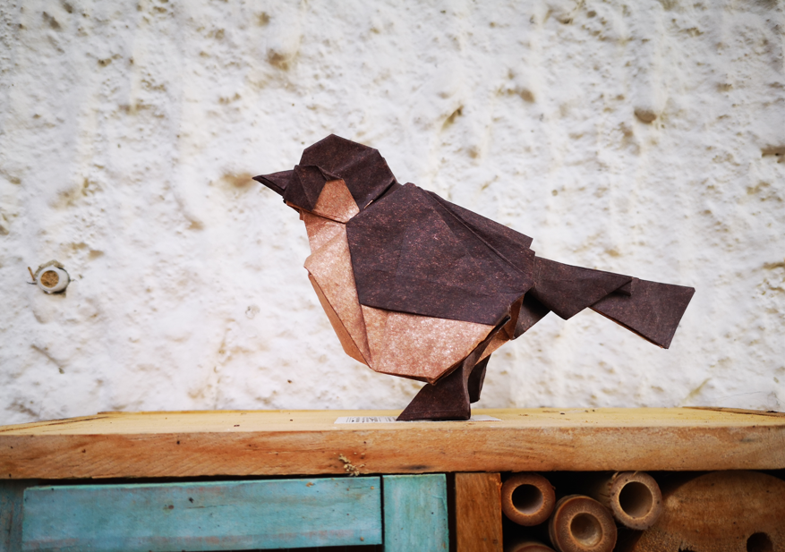 Origami Sparrow designed by Meng Weining, folded by TERRY Nicolas, using Sandwich paper