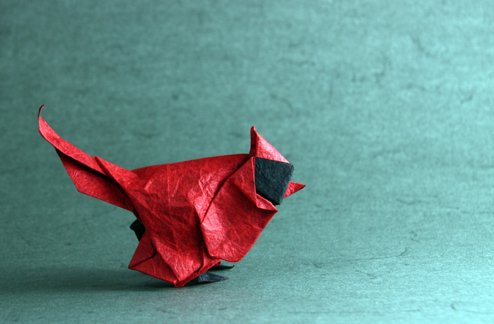 Origami Cardinal designed by Beth Johnson, folded by TERRY Nicolas, using Duo Thai paper (BLACK/RED)