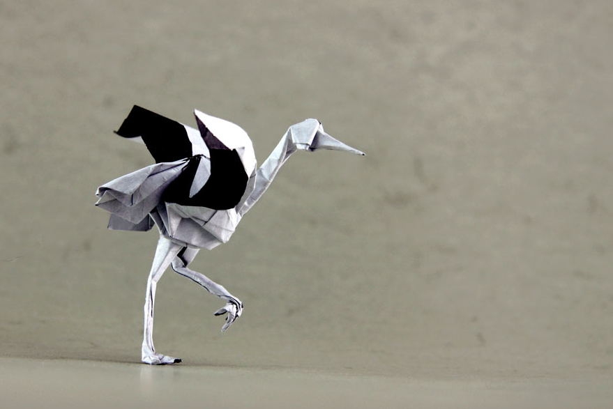 Origami Stork designed by GOTANI Tetsuya, folded by TERRY Nicolas, using Sandwich paper (White / Black)