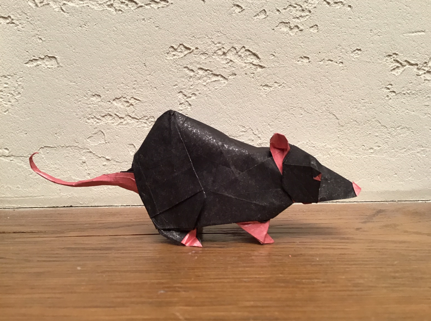 Origami Rat designed by Richard Galindo Flores, folded by TERRY Nicolas, using Sandwich paper