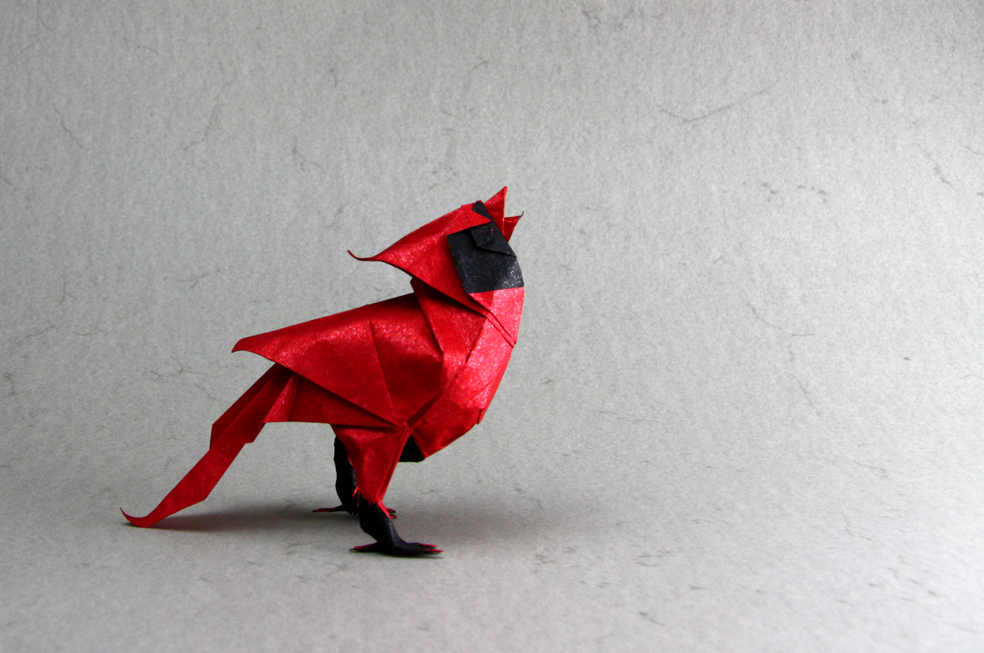 Origami Cardinal designed by Román Diaz, folded by TERRY Nicolas, using Sandwich paper