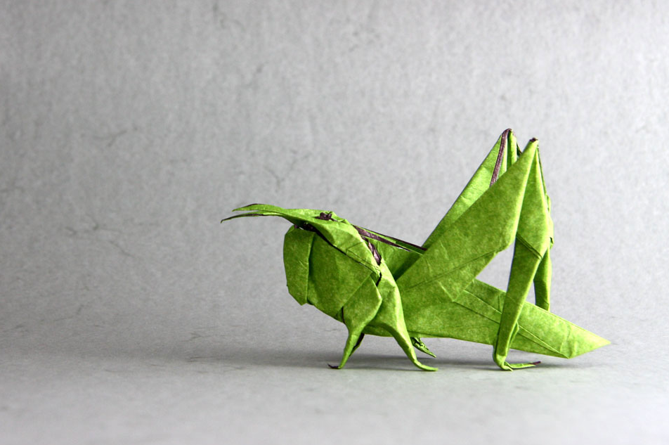 Origami Grasshopper designed by Red Paper - Wonseon Seo, folded by TERRY Nicolas, using Sandwich paper