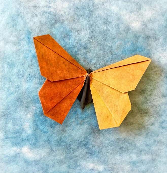Origami Butterfly designed by Michael LaFosse, folded by Origami by Sophie, using Shadow Thai paper (#05 BLACK / YELLOW ORANGE)