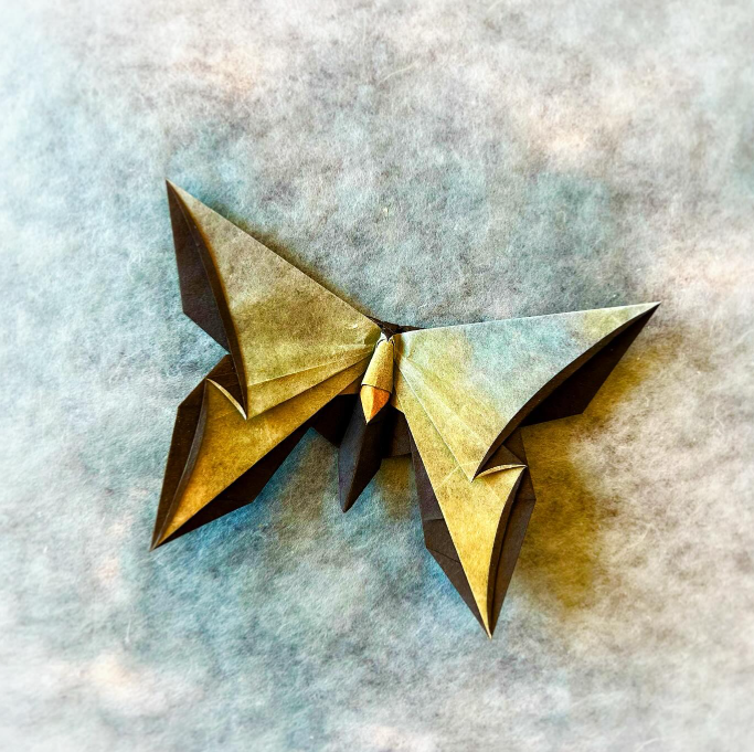 Origami Butterfly for Wendy Zeichner designed by Michael LaFosse, folded by Origami by Sophie, using Shadow Thai paper (#11 BLACK / GREEN YELLOW BLUE)