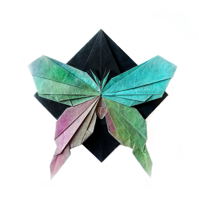 Origami Butterfly designed by Syn / Jiahui Li, folded by Origami by Sophie, using Shadow Thai paper (#06 BLACK / AMBER BLUE PINK)