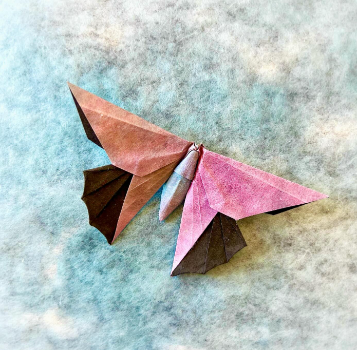 Origami Kyoto Butterfly designed by Michael LaFosse, folded by Origami by Sophie, using Shadow Thai paper (#06 BLACK / AMBER BLUE PINK)