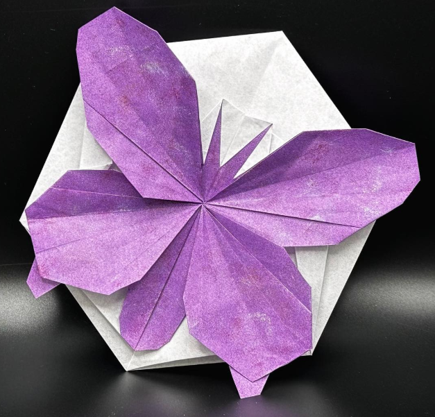 Origami Butterfly designed by Five Fans, folded by Reinehr Anita, using Duo Extra Large paper (#17 Purple)
