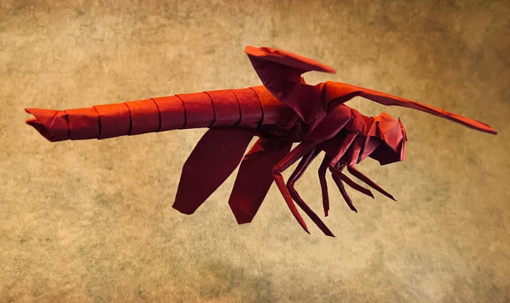 Origami Dragonfly designed by Satoshi Kamiya, folded by Palser Mark, using Biotope paper (#10 Berry Red)