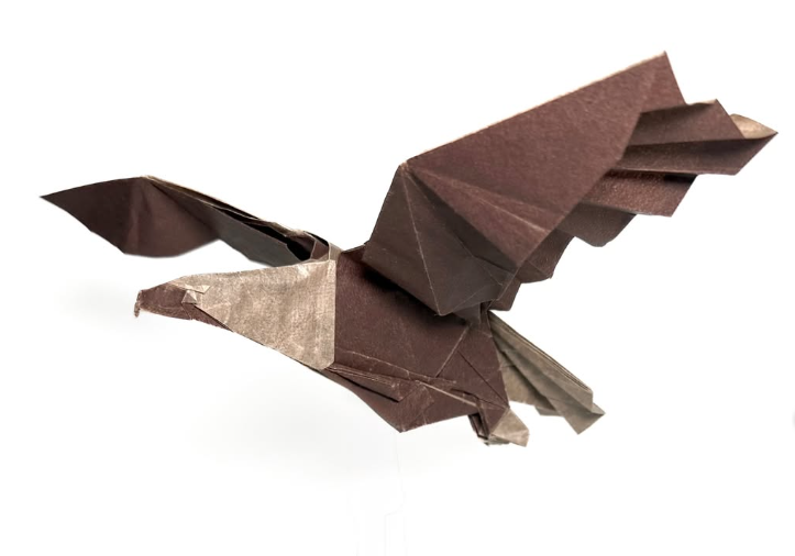 Origami Bald Eagle designed by Kazuki Fukuroi, folded by Gus Figueroa, using Damul paper (#07 Damul - Marron)