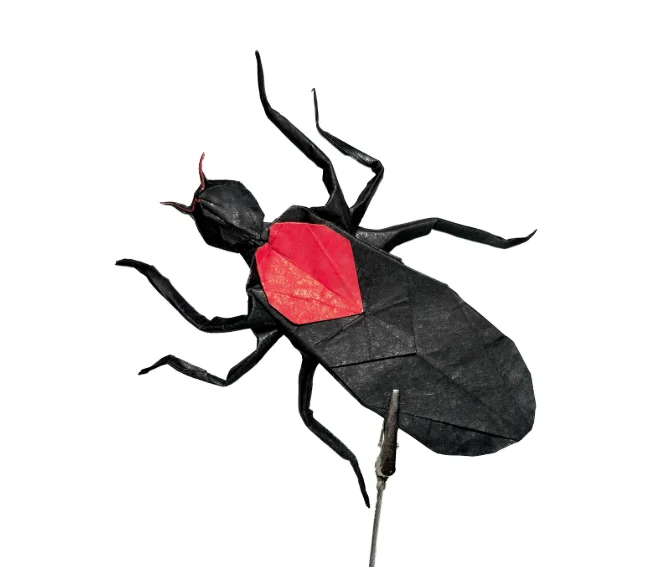 Origami Love Bug designed by Jeong Jae Il, folded by origami_follia, using Sandwich paper
