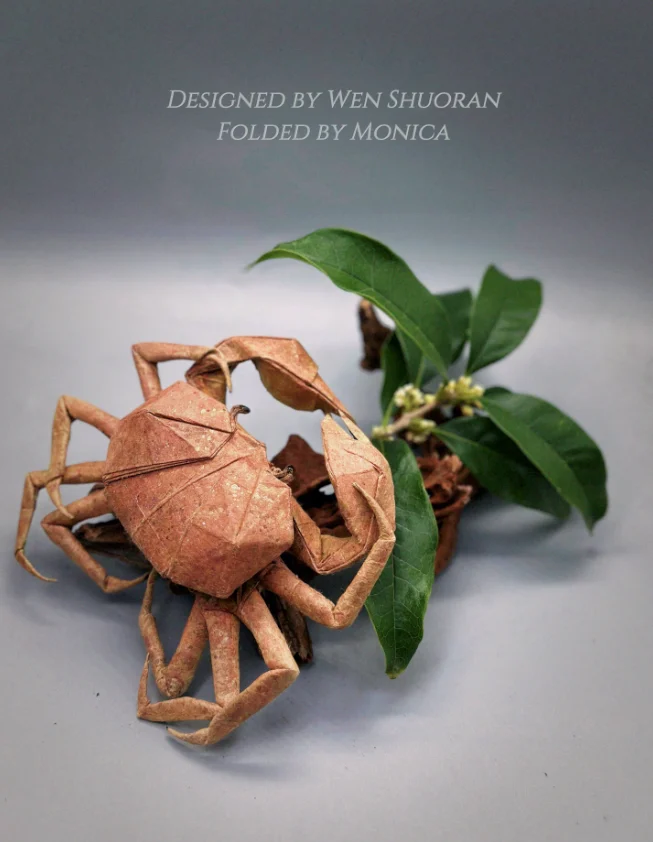 Origami Crab designed by Wen Shuoran, folded by Monica Xing Gao, using Shadow Thai paper (#22 BLACK / BROWN)