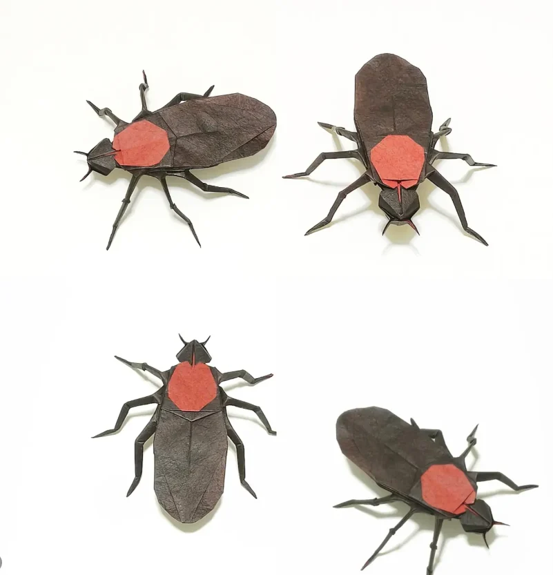 Origami Love Bug designed by Jeong Jae Il, folded by Gus Figueroa, using Papyrus B1 paper